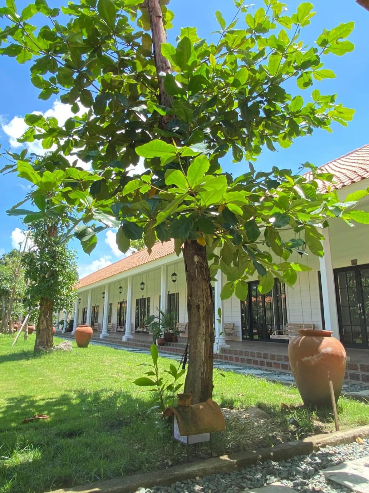 Pasir Putih Resort & Resto Maluk Exterior foto